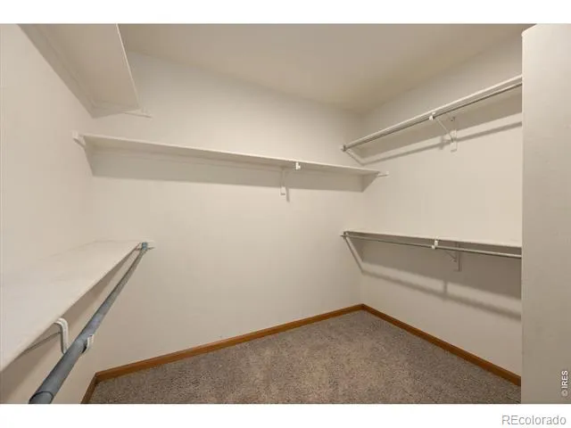 343 Scotch Pine Court Severance, CO 80550