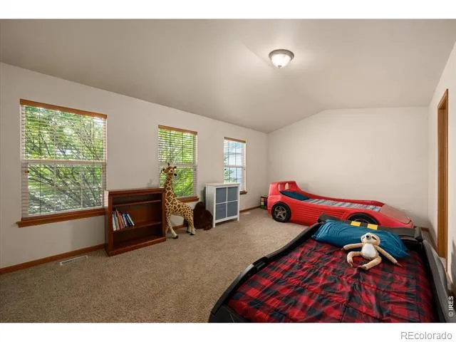 343 Scotch Pine Court Severance, CO 80550