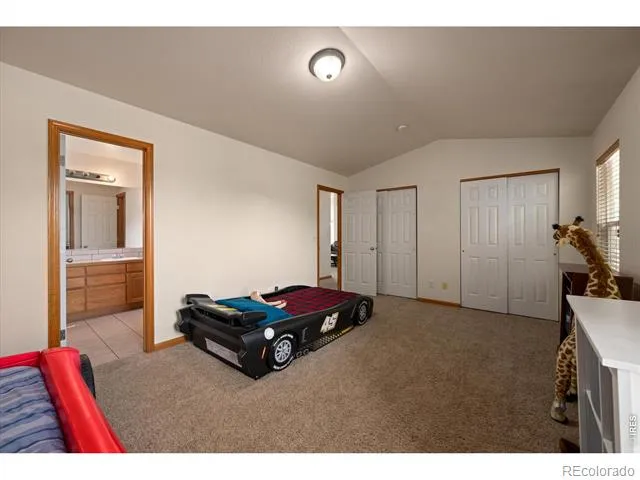 343 Scotch Pine Court Severance, CO 80550