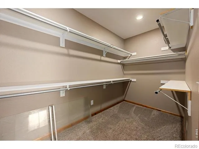 343 Scotch Pine Court Severance, CO 80550
