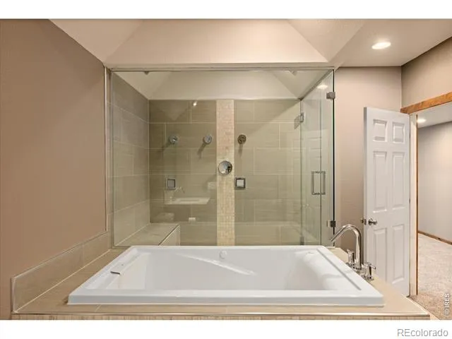 343 Scotch Pine Court Severance, CO 80550