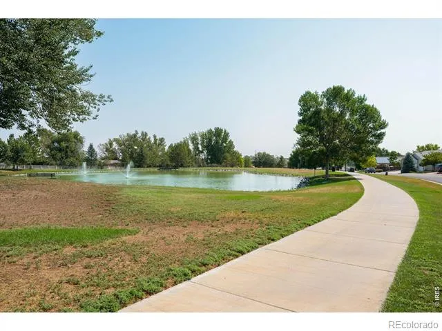 343 Scotch Pine Court Severance, CO 80550
