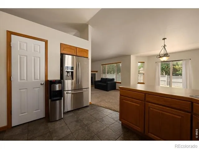 343 Scotch Pine Court Severance, CO 80550