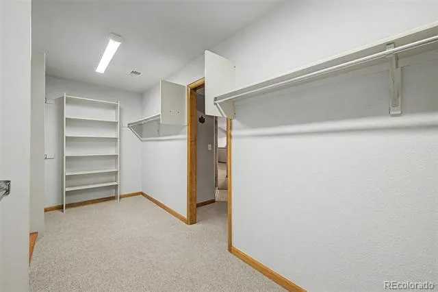 6936 Old Ranch Trail Littleton, CO 80125