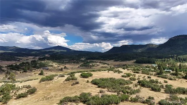 181B Jawbone Canyon Place Chromo, CO 81128
