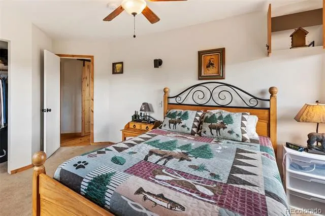 1807 Windmill Drive Hartsel, CO 80449