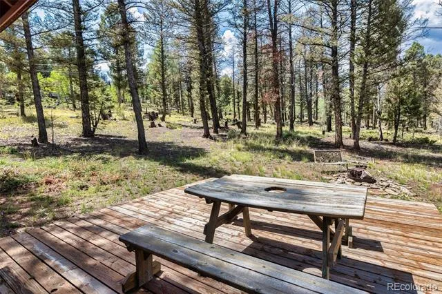 1807 Windmill Drive Hartsel, CO 80449