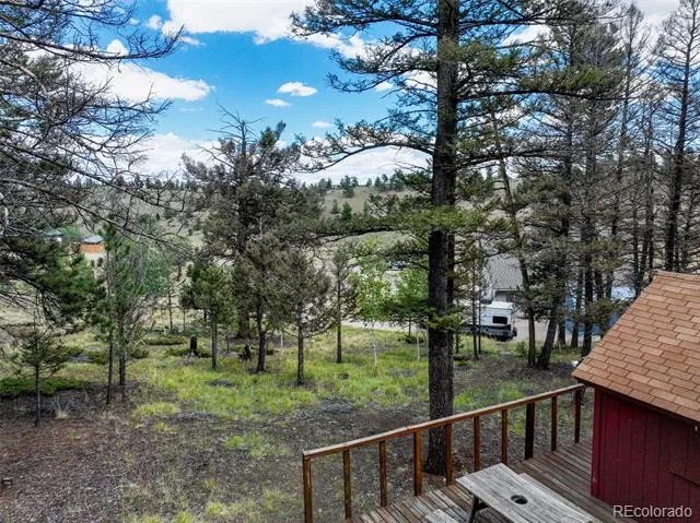 1807 Windmill Drive Hartsel, CO 80449