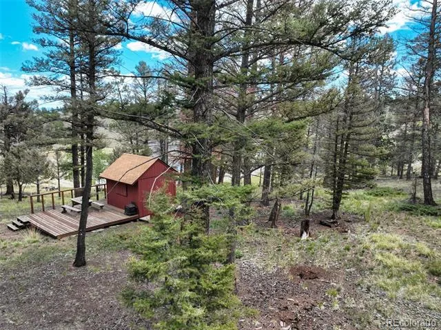 1807 Windmill Drive Hartsel, CO 80449