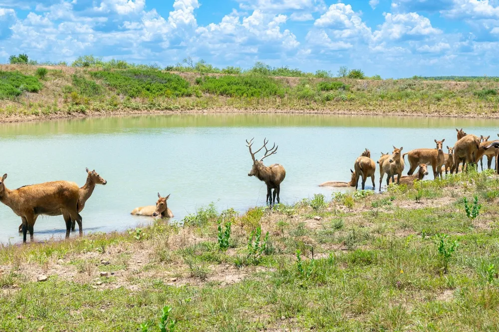 2671 Fm 2926 Clyde, TX 79510