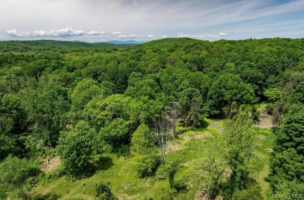 00 Route 7 Copake, NY 12516
