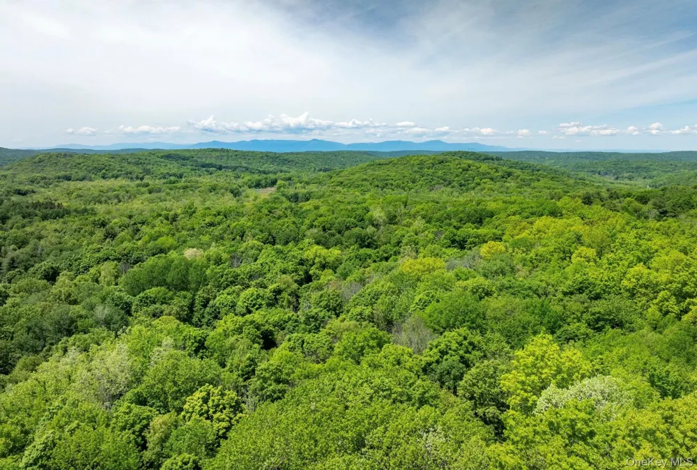 00 Route 7 Copake, NY 12516