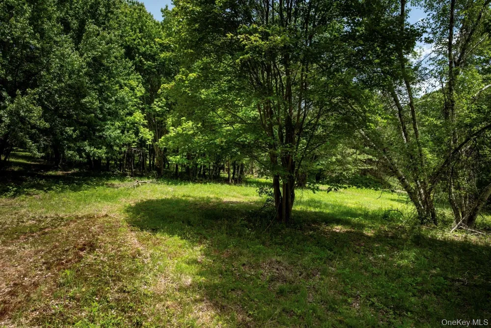00 Route 7 Copake, NY 12516