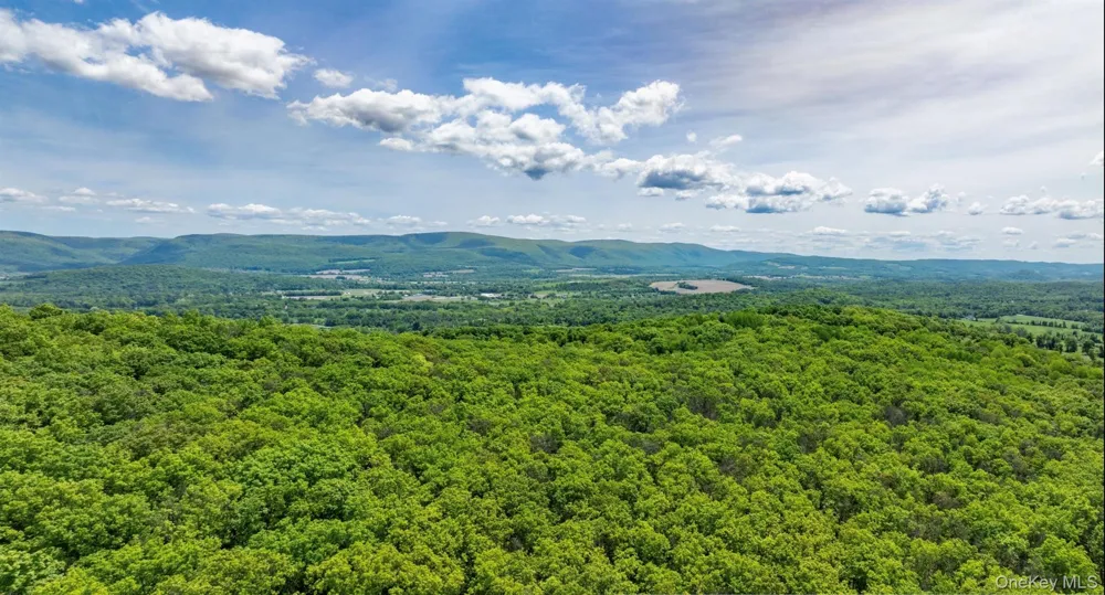 00 Route 7 Copake, NY 12516