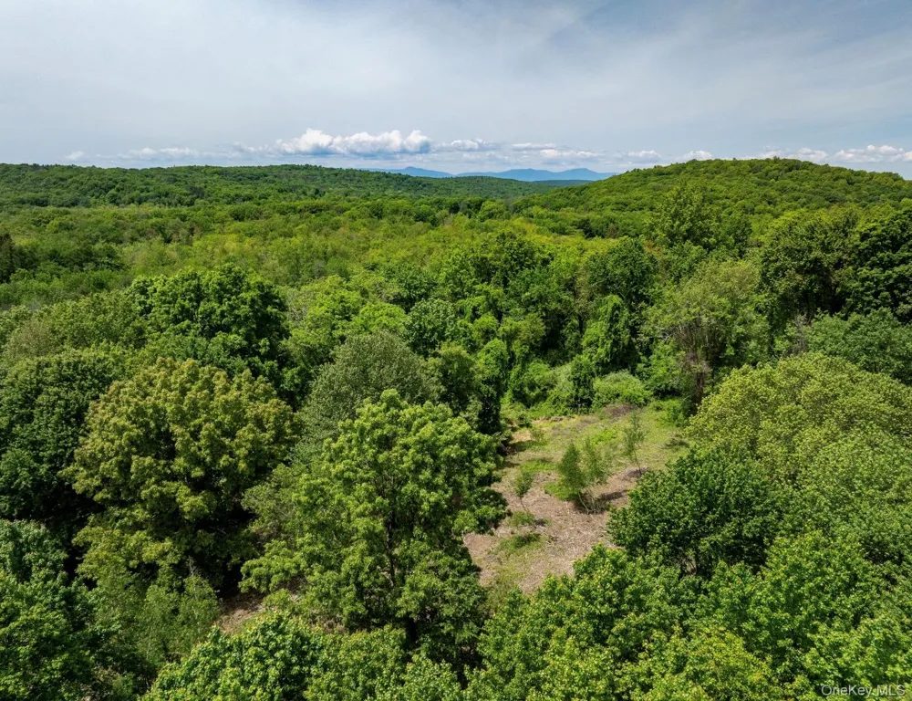 00 Route 7 Copake, NY 12516