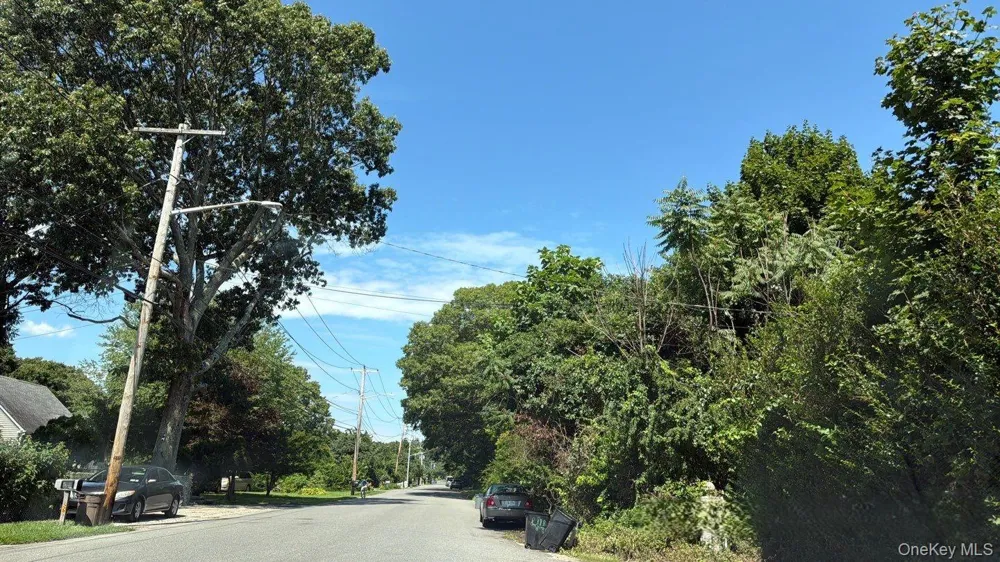 448 Revilo Avenue Shirley, NY 11967