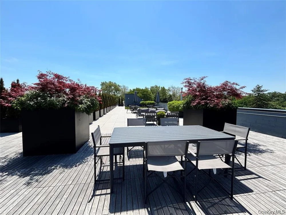 218 Middle Neck Road #313 Great Neck, NY 11021