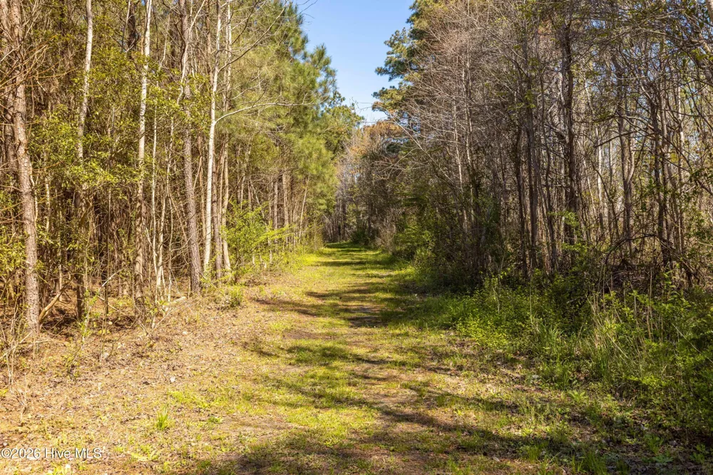 105 Winters Rest Road Beaufort, NC 28516