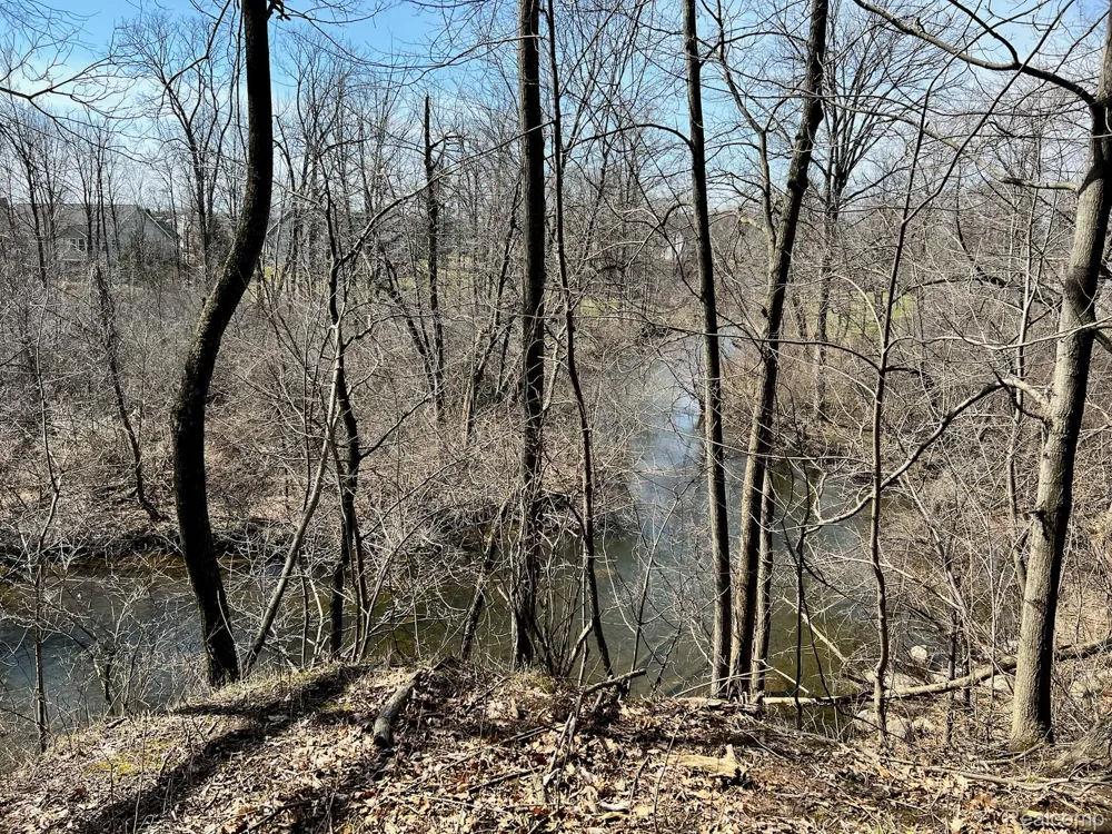 9047 Pineview River Drive Argentine Township, MI 48451