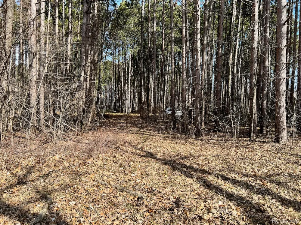 9047 Pineview River Drive Argentine Township, MI 48451