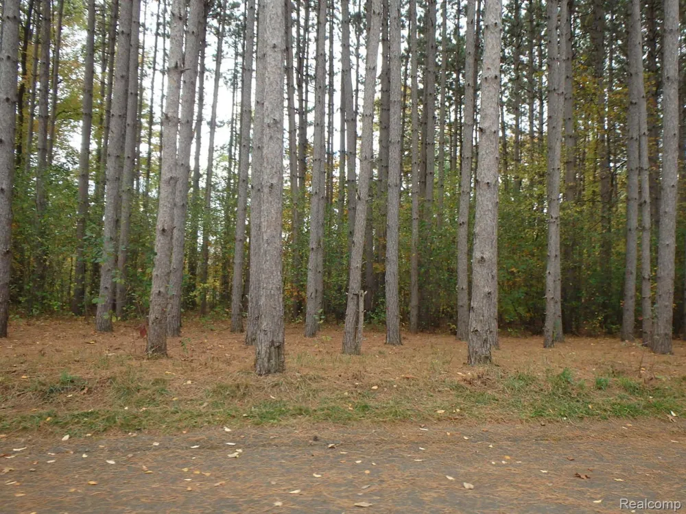 9047 Pineview River Drive Argentine Township, MI 48451