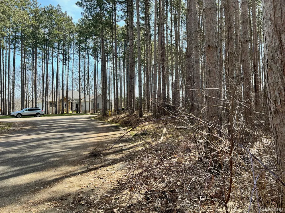 9047 Pineview River Drive Argentine Township, MI 48451