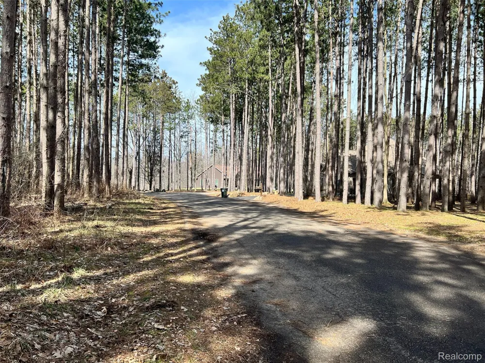 9047 Pineview River Drive Argentine Township, MI 48451
