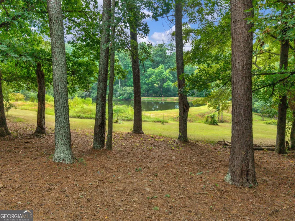 1301 Marshall Store RD Watkinsville, GA 30677
