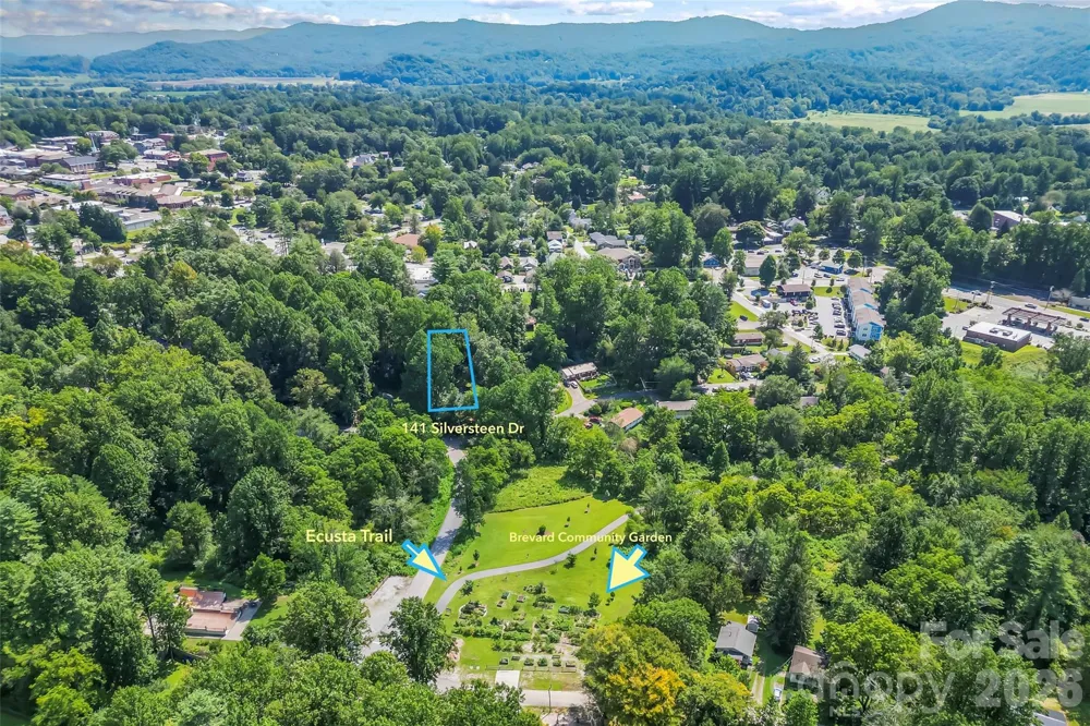 141 Silversteen Drive Brevard, NC 28712