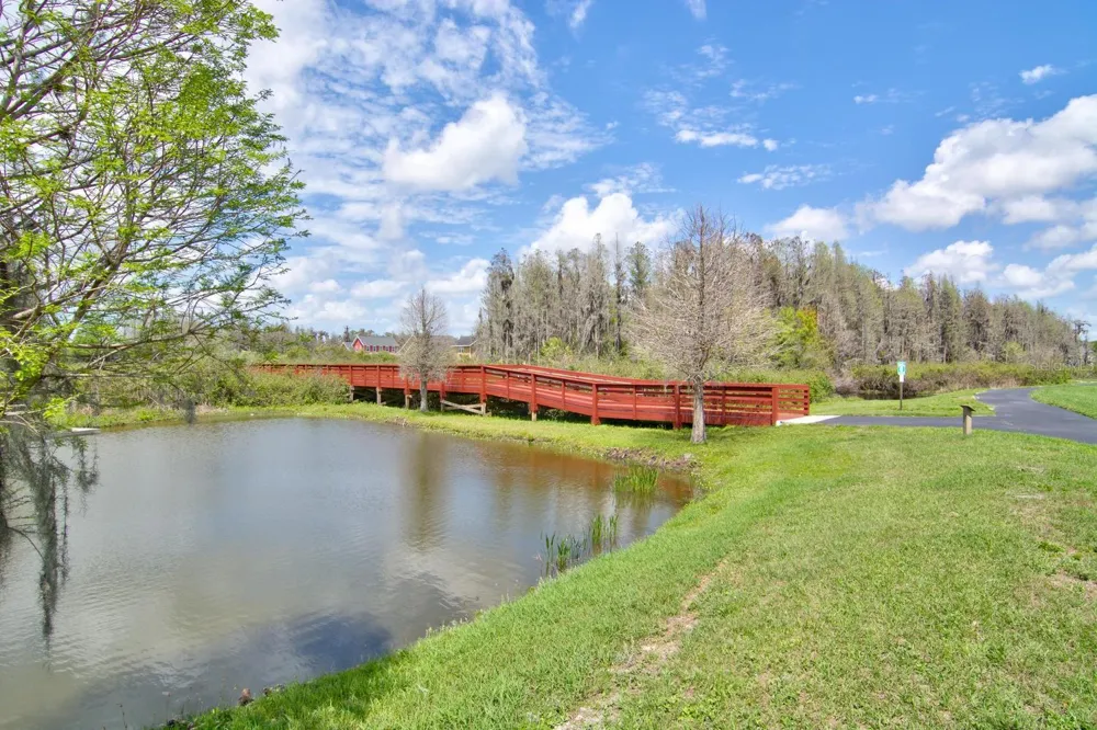 10325 PALLADIO DRIVE New Port Richey, FL 34655
