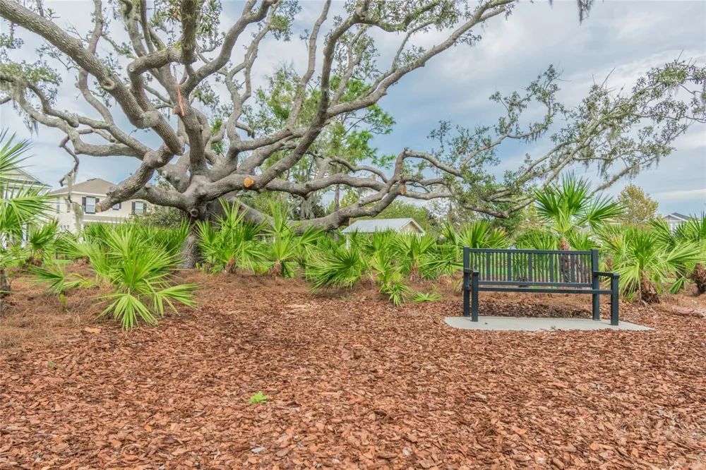 10325 PALLADIO DRIVE New Port Richey, FL 34655