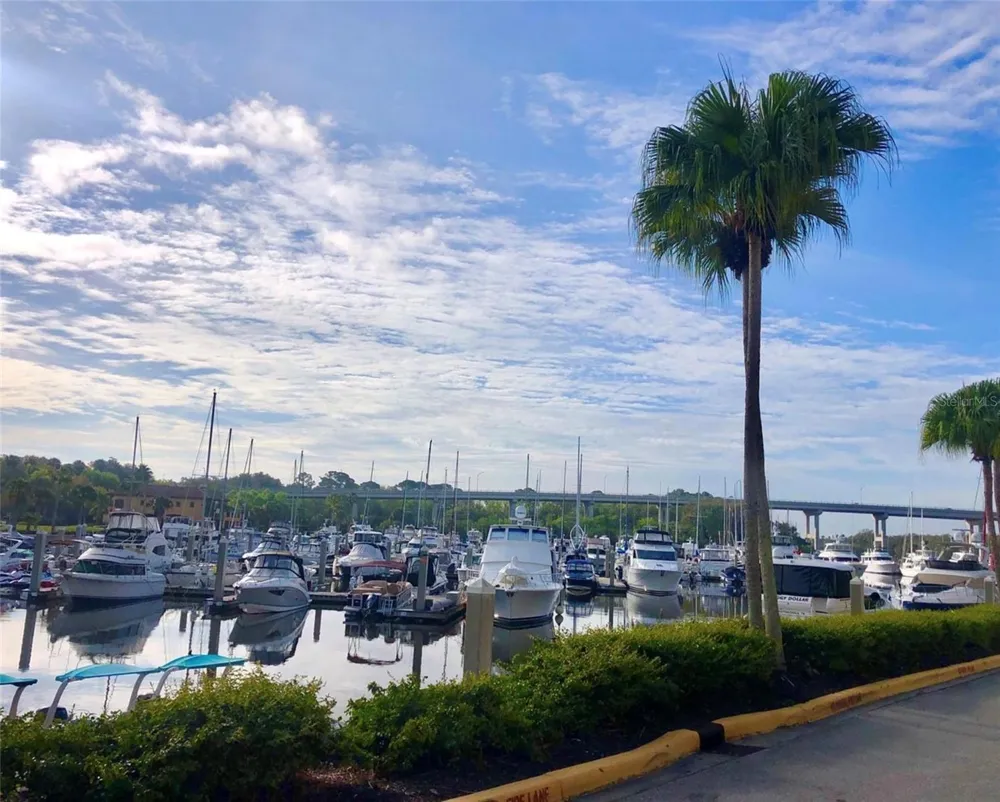 234 HARBOR VILLAGE POINT Palm Coast, FL 32137