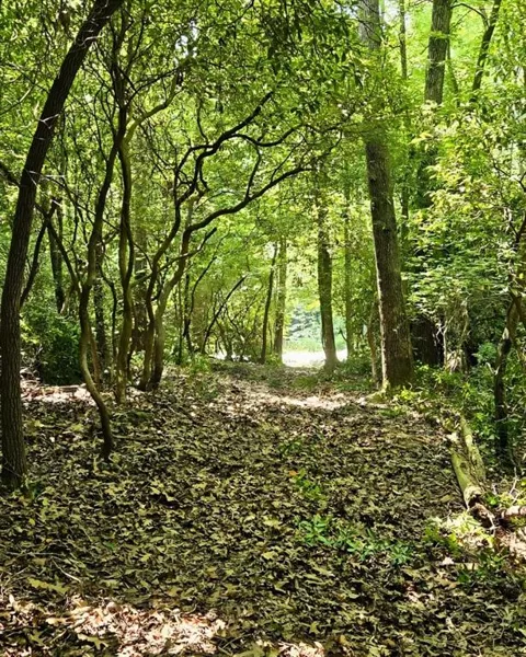 5 Goldmine Road