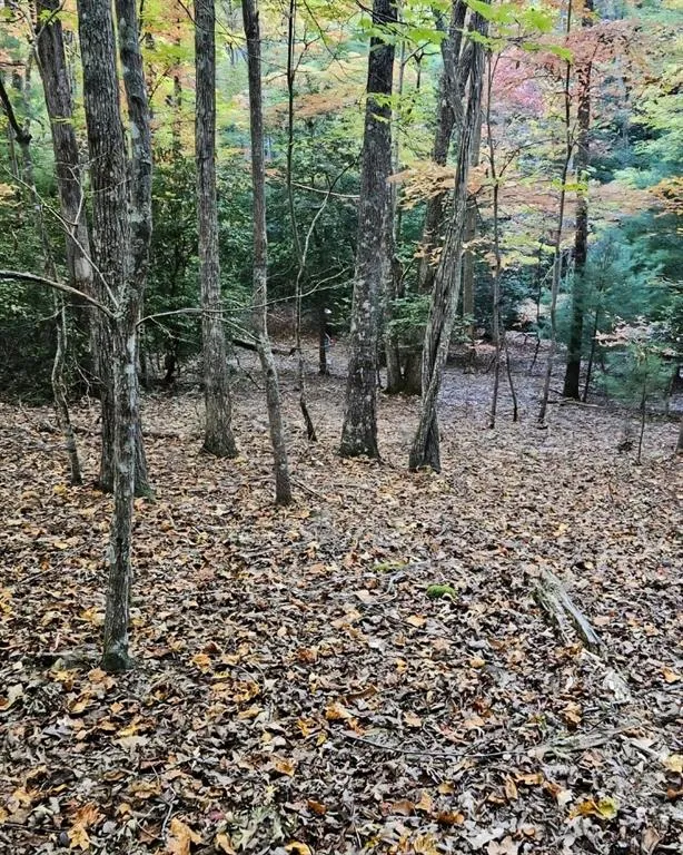 5 Goldmine Road Morganton, GA 30560