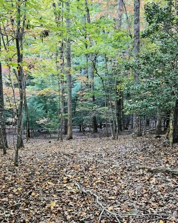 5 Goldmine Road Morganton, GA 30560