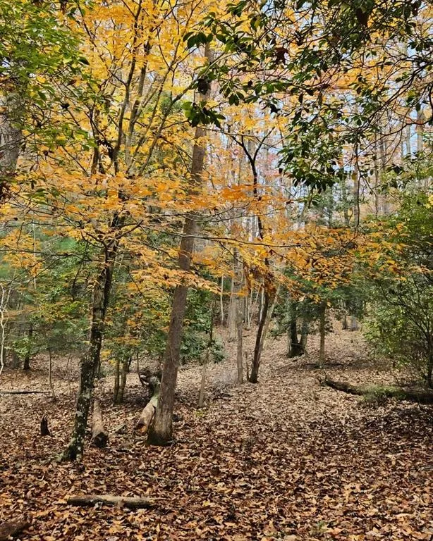 5 Goldmine Road Morganton, GA 30560