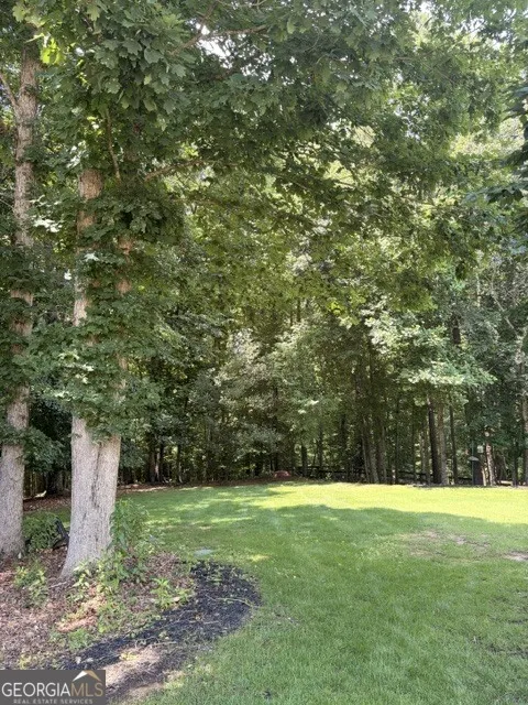 14756 Taylor Valley WAY Milton, GA 30004
