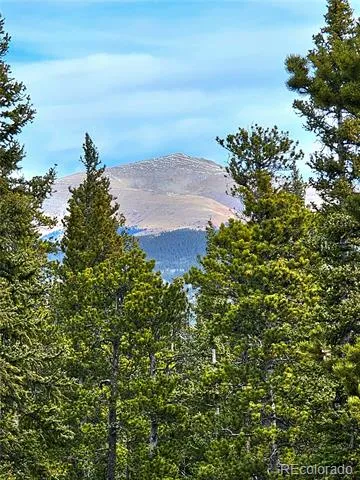1678 Cr-14a Fairplay, CO 80440