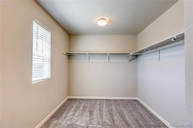 3426 Swabuck Place Castle Rock, CO 80109