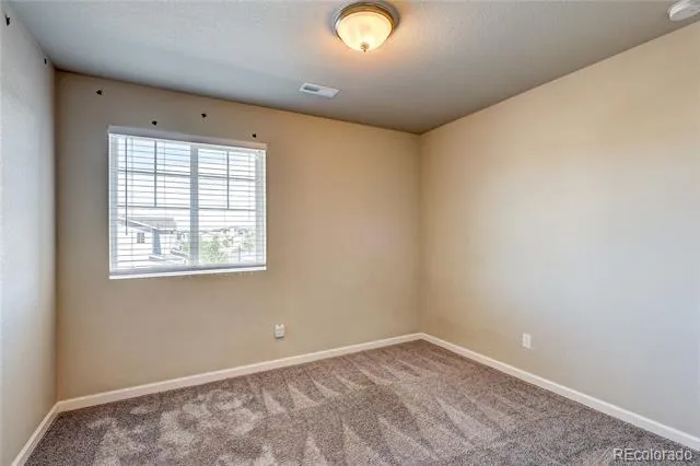 3426 Swabuck Place Castle Rock, CO 80109