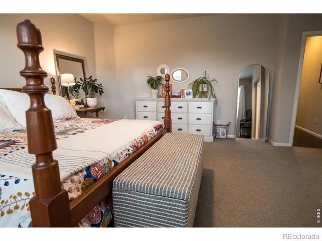 5388 Hallowell Park Drive Timnath, CO 80547