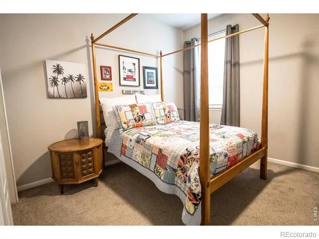 5388 Hallowell Park Drive Timnath, CO 80547