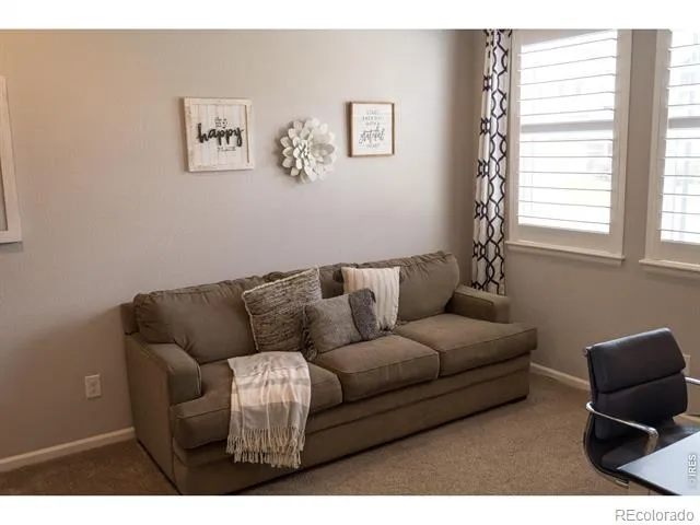 5388 Hallowell Park Drive Timnath, CO 80547