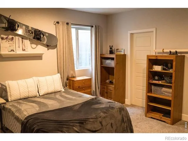 5388 Hallowell Park Drive Timnath, CO 80547