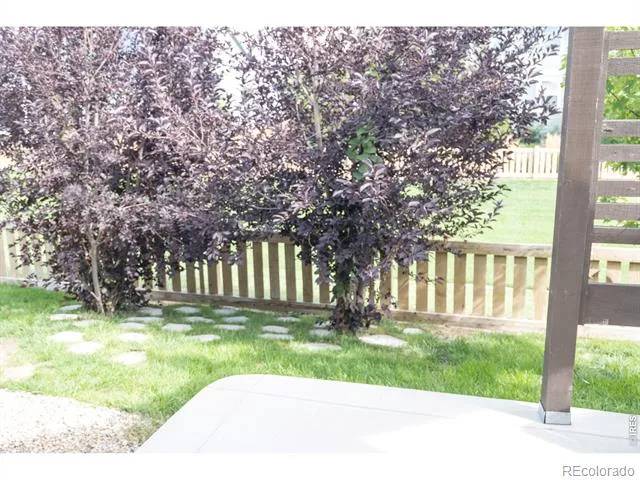 5388 Hallowell Park Drive Timnath, CO 80547