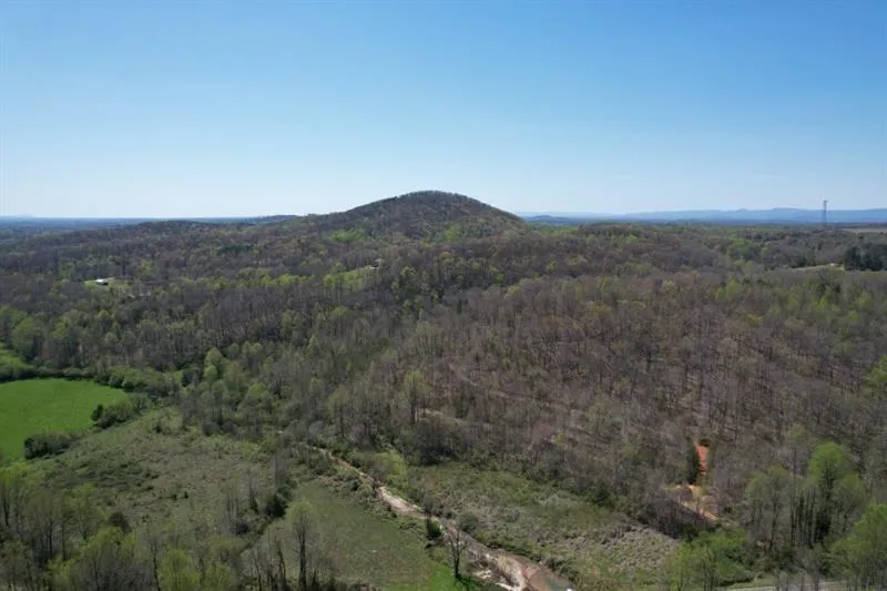 0 Post White Hill Road Murrayville, GA 30564