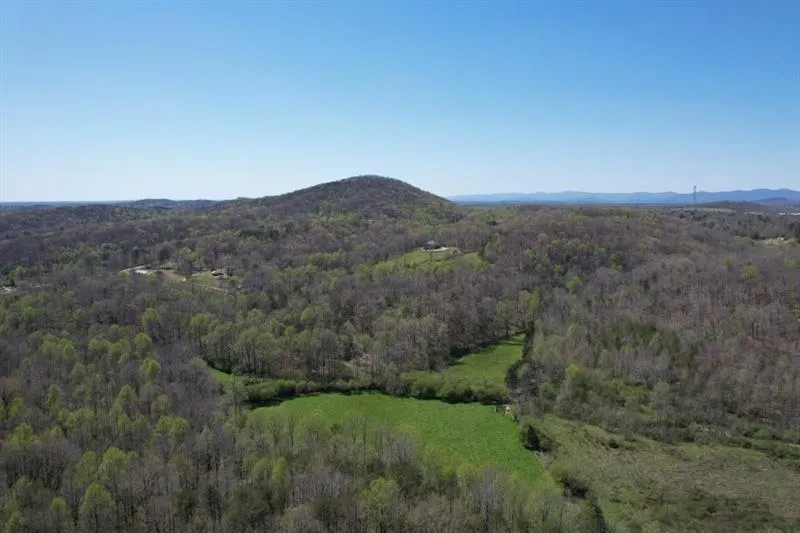 0 Post White Hill Road Murrayville, GA 30564