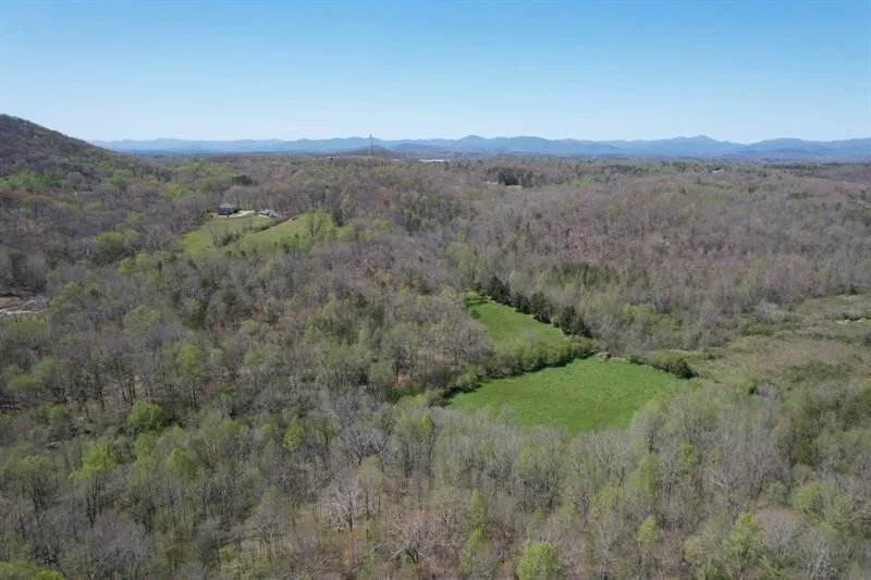 0 Post White Hill Road Murrayville, GA 30564