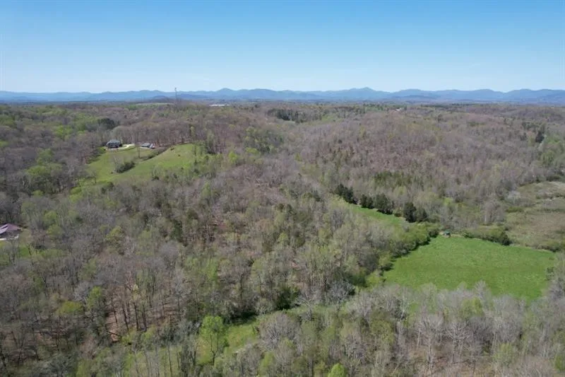 0 Post White Hill Road Murrayville, GA 30564