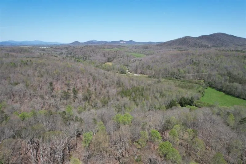 0 Post White Hill Road Murrayville, GA 30564